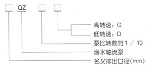 QZ型潛水軸流泵型號(hào)說(shuō)明